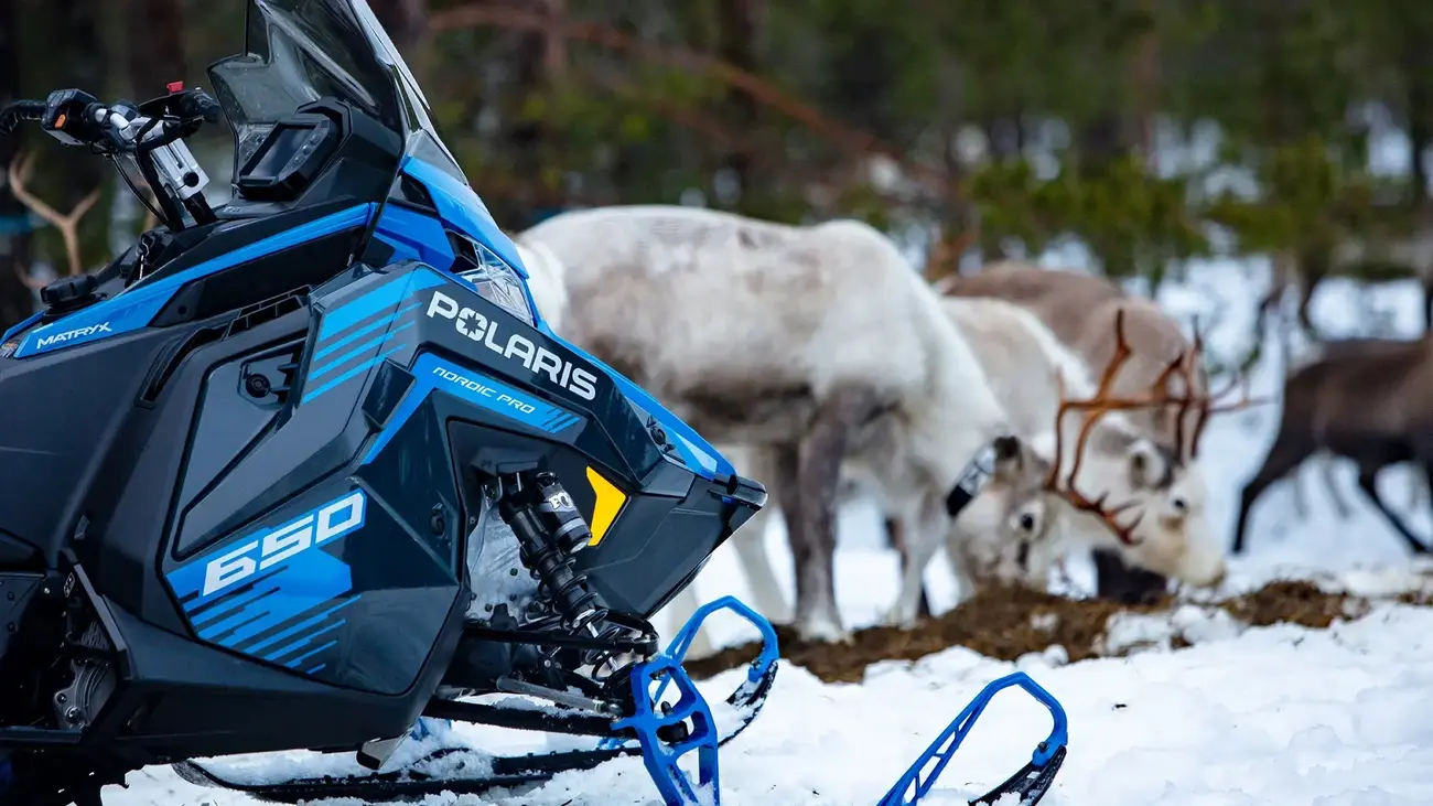 Polaris 650 Voyageur Nordic Pro 155 med reinsdyr